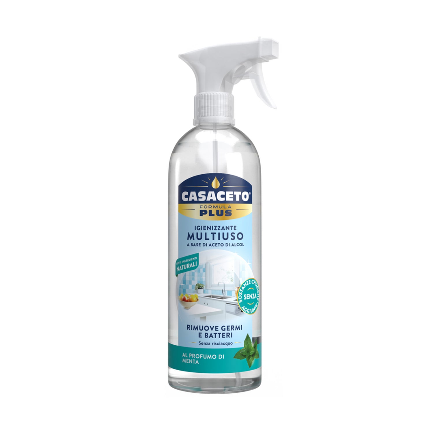 CASACETO  SPRAY 750ML MENTA DELICATA